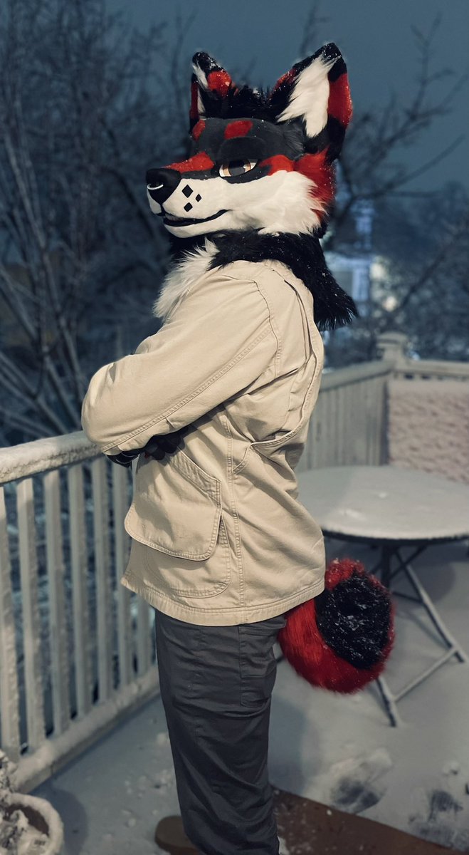 Happy Fursuit Friday!
#FursuitFriday #furry #furries
Find me on insta 
instagram.com/helltechwolf?i…