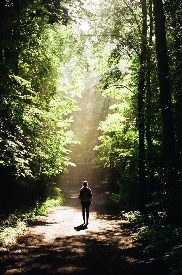 Moment by moment 
things are losing their hardness 
now even my body lets the light through~

Virginia Woolf 
born 25 January 1882
