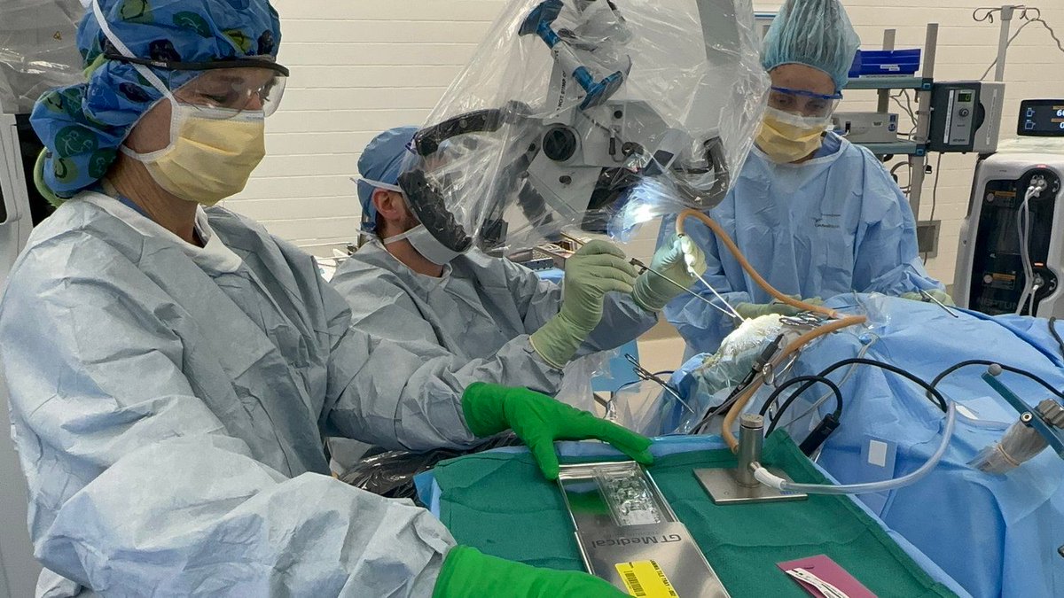 MED - Midwest Medical Edition tweet media
