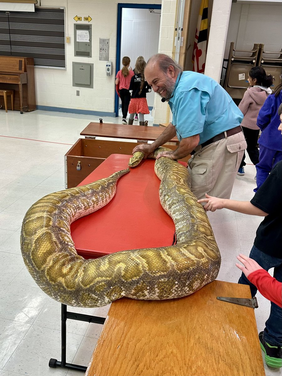 One of the BEST assemblies I’ve ever seen is Mr Michael from Reptile World. So engaging, so enlightening, so educational. 🐍 🐊 🦎