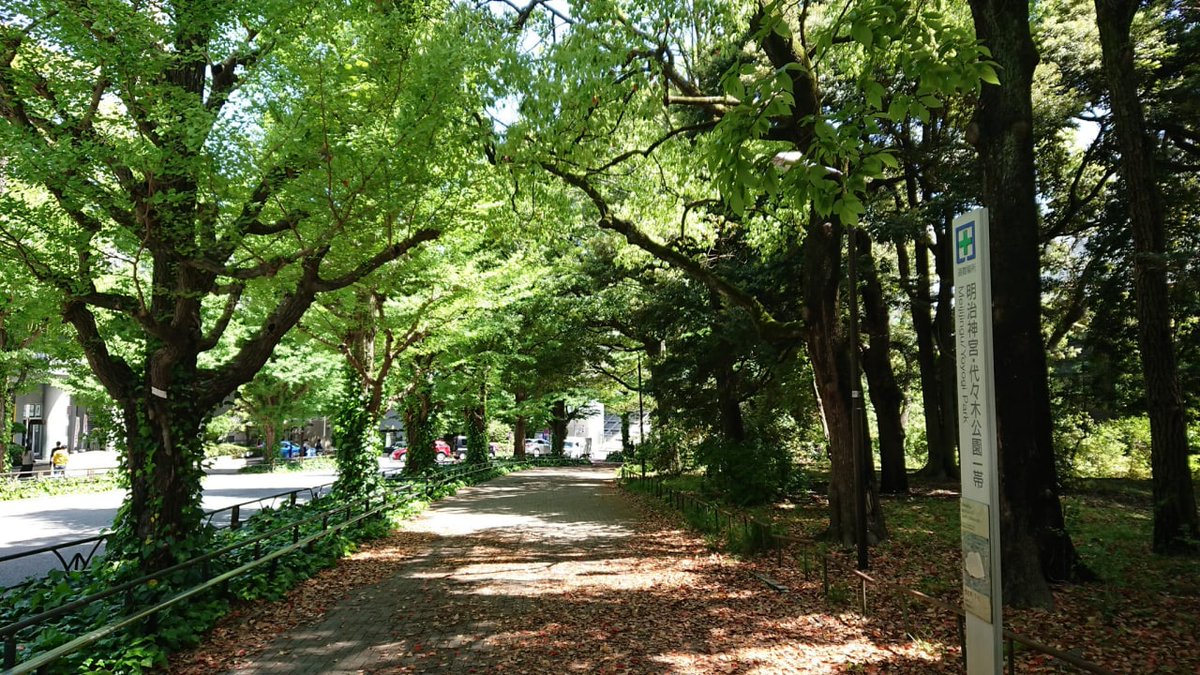 MiloudInes's tweet image. 静かな神社を散策し、自然と伝統の完璧な融合を体験してください。 🌿 このような時間はいつも人々にリラックスと平和を感じさせます✨