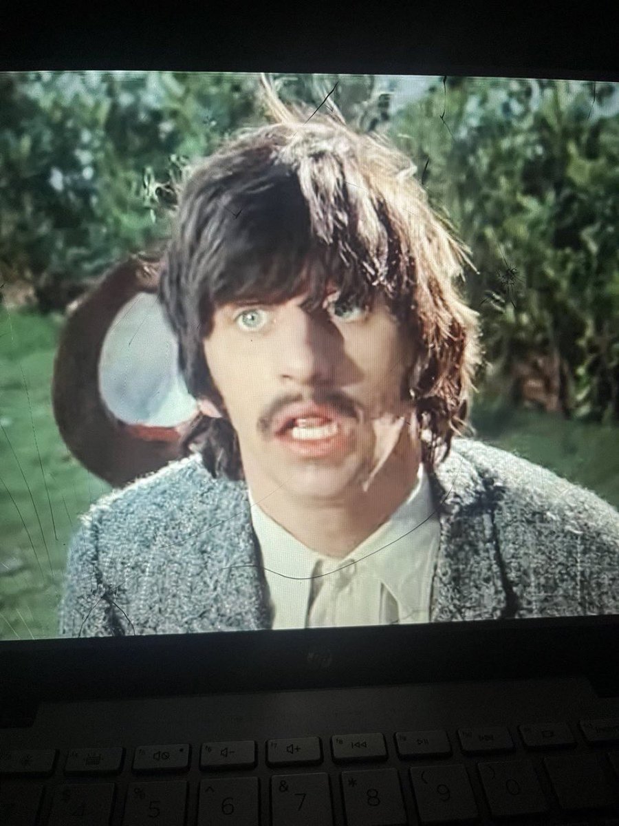 ⊹ฺ.Syd⊹ฺ. tweet media