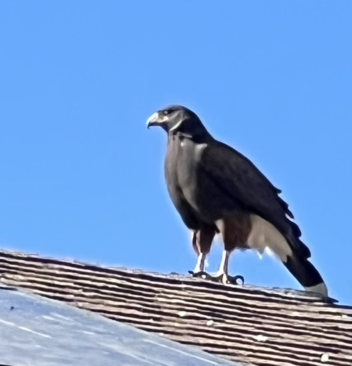 DeClutterSpaces's tweet image. Is your heart weighed down? 💔

I carried fear, pain, and unforgiveness—until I surrendered it all to Jesus. He replaced the clutter with peace.

What are you ready to release? Reply and let me pray for you! 

#FreedomInChrist