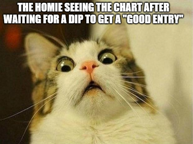 Kat_On_Ronin's tweet photo. *inhales*

KATKATKATKATKATKATKATKATKATKATKATKATKATKATKATKATKATKATKATKATKATKATKATKATKATKATKATKATKATKATKATKATKATKATKATKATKATKATKATKATKATKATKATKATKATKATKATKATKATKATKATKATKATKATKATKATKATKATKATKATKATKATKATKATKATKATKATKATKATKATKATKATKATKATKATKATKATKATKATKATKATKATKATKATKATKATKAT $KAT https://t.co/LllR0shU6P