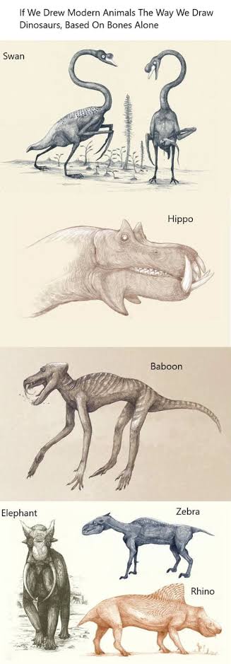 zwarte_kat00's tweet photo. @nessiejudge Betul, di buku All Yesterdays ada ilustrasi gimana kalo hewan modern digambarkan seperti kita menggambarkan dinosaurus. https://t.co/7N8qMxq0cV