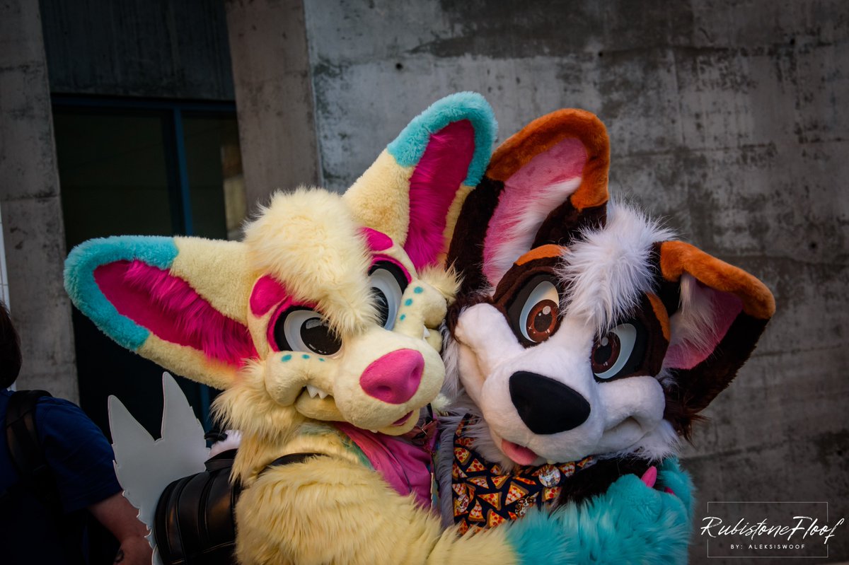 Eastea (@launchpadfurry) on Twitter photo Happy #FursuitFriday everyone!! Hope you all have a wonderful weekend ^ ^
🐶: <a href="/SparkToons/">⚡SparkToons⚡</a>
📸: <a href="/aleksiswoof/">🇳🇱 Aleksis 🔜 Defqon.1 🇳🇱</a>
🪡: <a href="/MoreFurLess/">More Fur Less</a> Happy #FursuitFriday everyone!! Hope you all have a wonderful weekend ^ ^
🐶: <a href="/SparkToons/">⚡SparkToons⚡</a>
📸: <a href="/aleksiswoof/">🇳🇱 Aleksis 🔜 Defqon.1 🇳🇱</a>
🪡: <a href="/MoreFurLess/">More Fur Less</a>