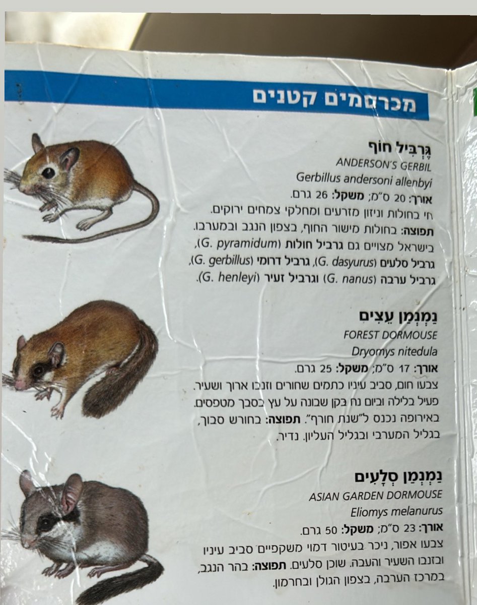 תייגי חברה שהיא נמנמן סלעים וחברה שהיא גרביל חוף ואל תגלי להן מי זה מי