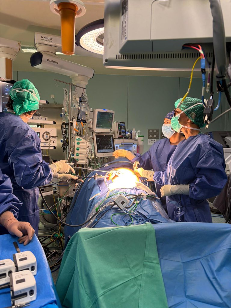 Elisenda Garsot MD, PhD tweet media