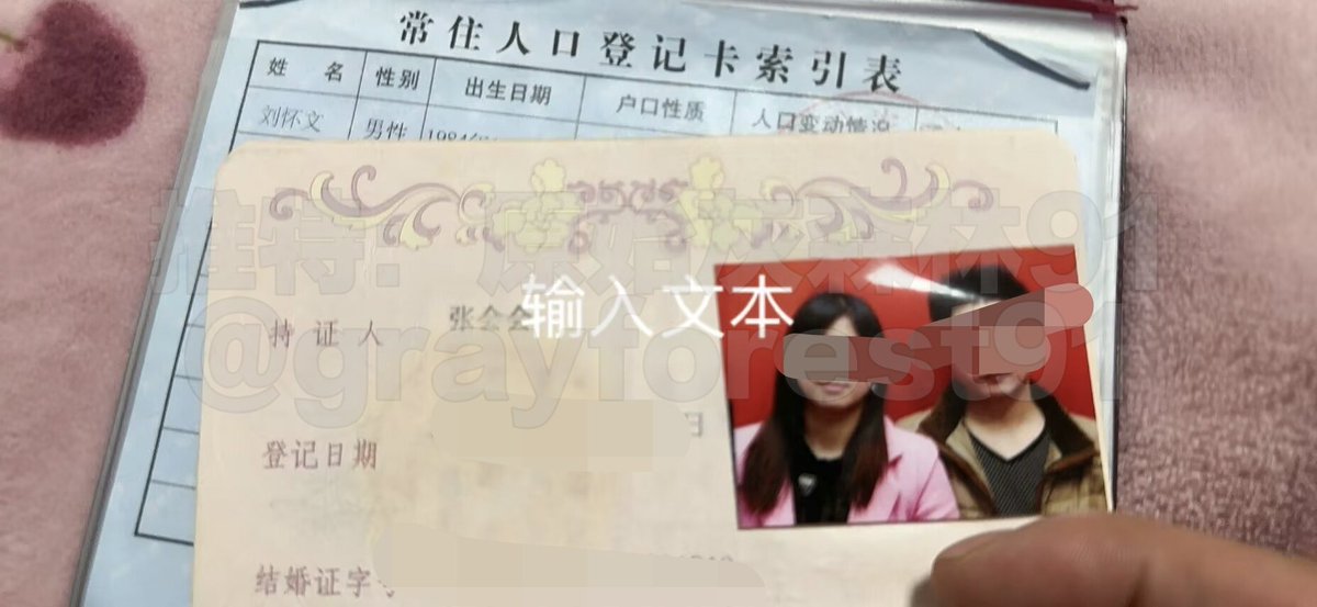 原始灰森林91 tweet media