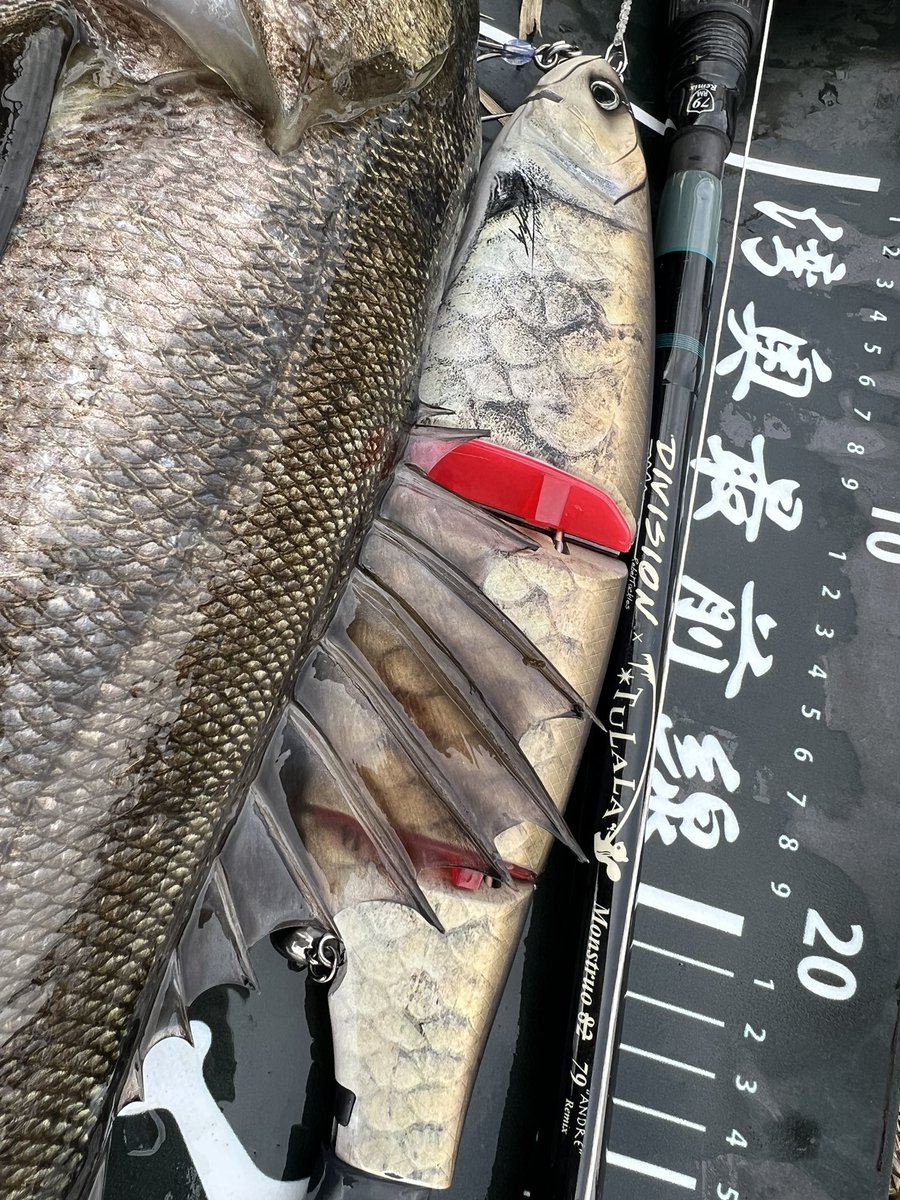 yutoman0223's tweet photo. オープンボイル撃ちで丸見えバイト🤯
バイトシーンもバッチリ📸
#湾奥最前線 #lunkerpool
#drt #tulalajp #79remix #klashghost https://t.co/0MDnYjQjUw