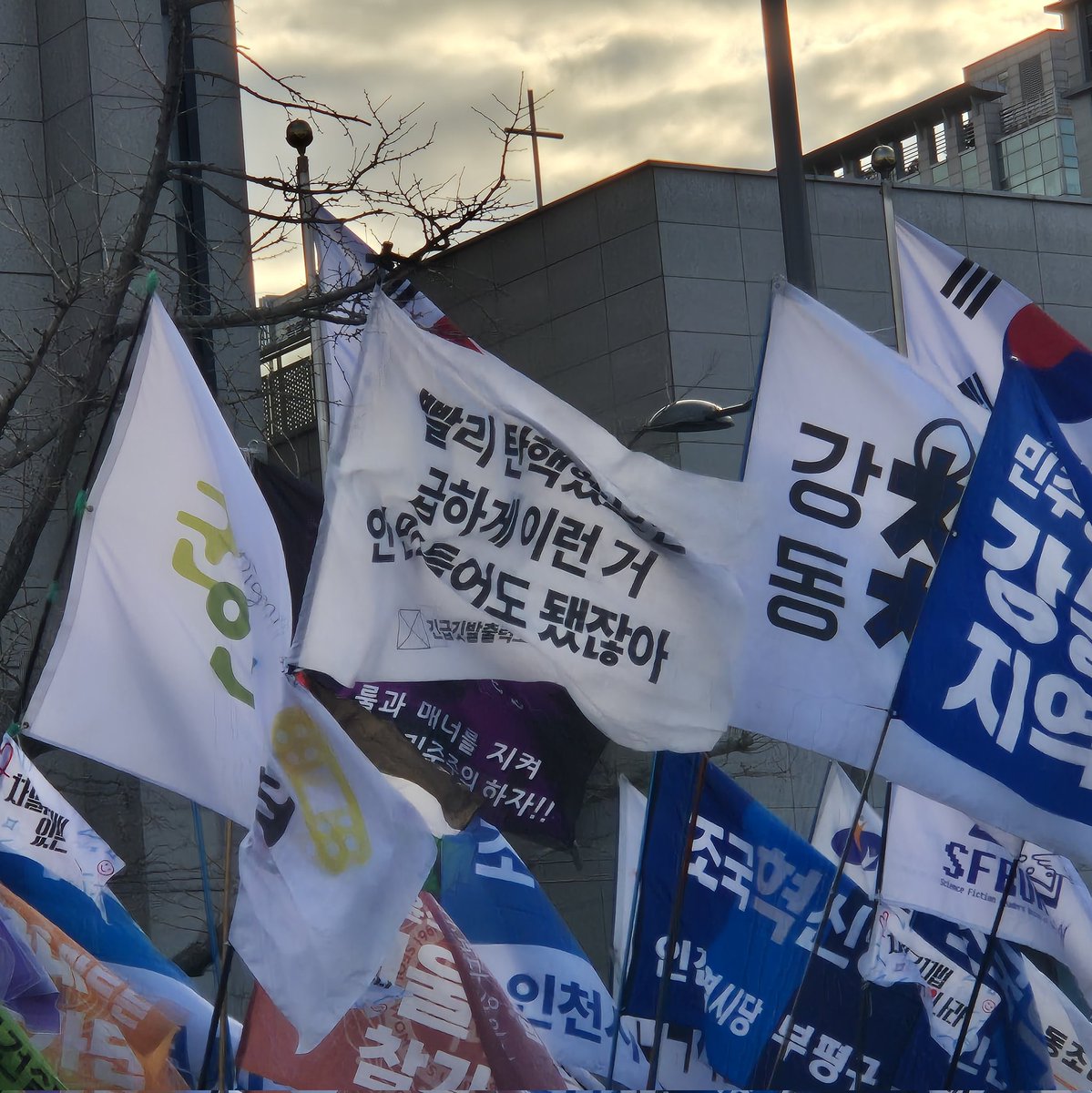 빨리 탄핵했으면
급하게 이런 거
안 만들어도 됐잖아