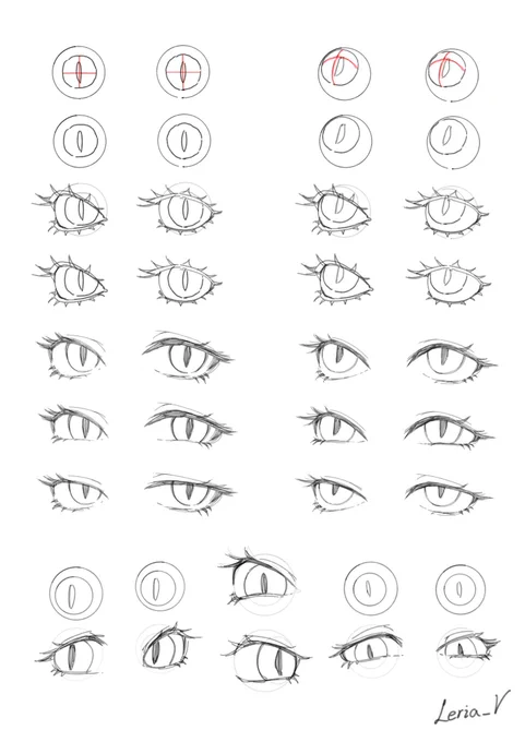study 