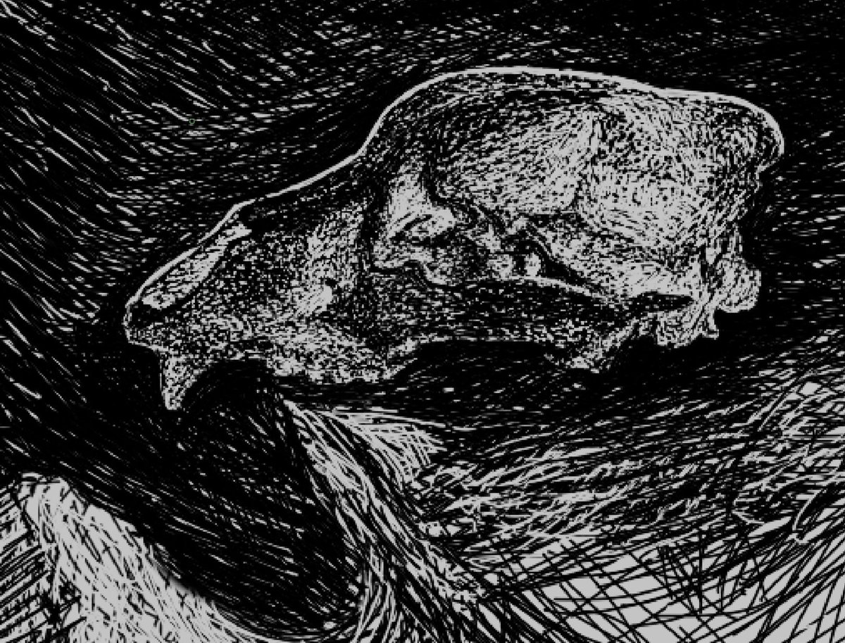 ever think about how, some thirty-thousand odd years ago, someone placed the skull of a cave bear on top of a large flat stone—just overhanging the edge—deep in a cave in what is now france?