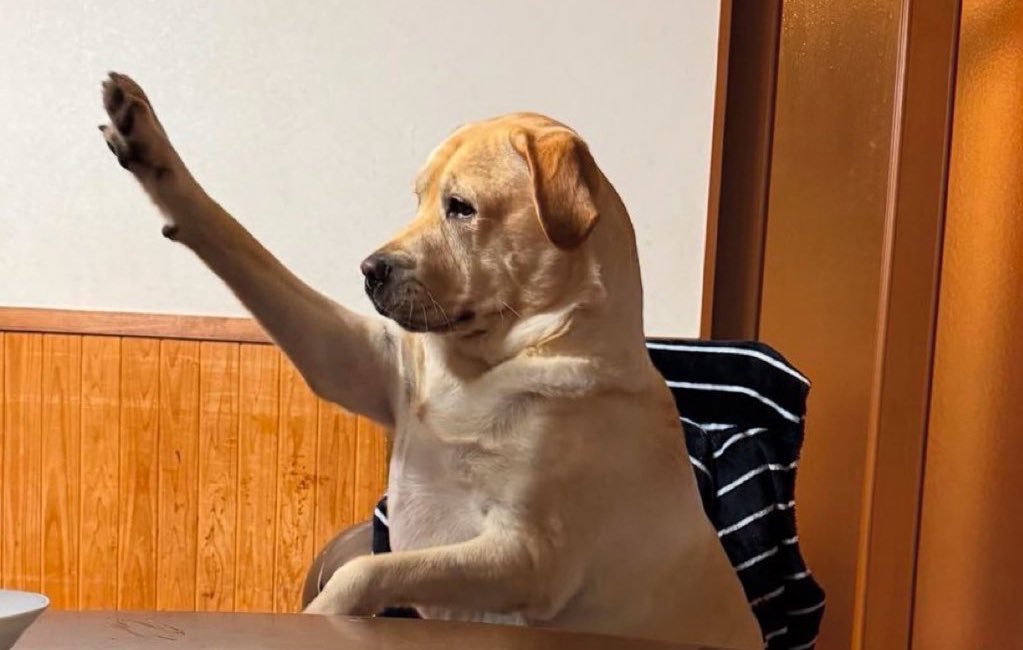 Seeing the remarkable transformation in Tshwane, who else is voting for ActionSA in 2026?