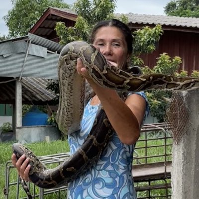 #NouvellePhotoDeProfil