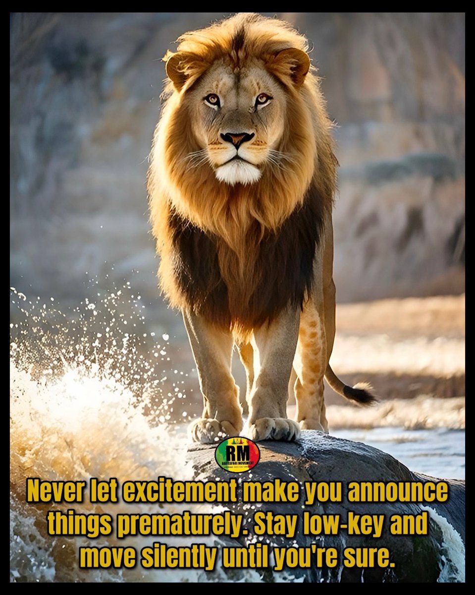 “Never let excitement make you announce things prematurely. Stay low-key and move silently until you're sure.”

~ Rastafari Movement®