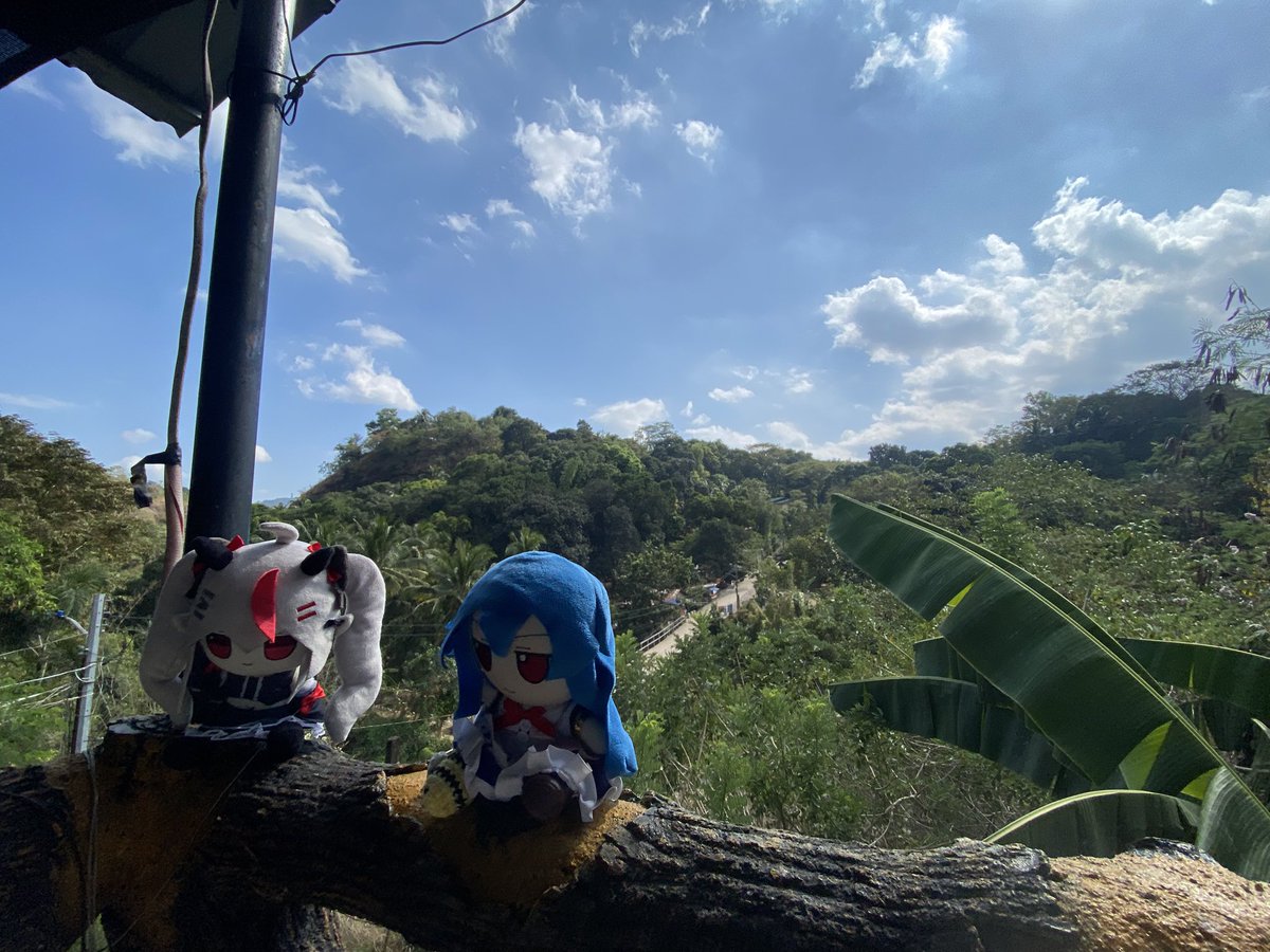 Shinju_47's tweet photo. Another Journey of them both #Fumo #Touhou #WemiFBA https://t.co/GvznyoqNwq