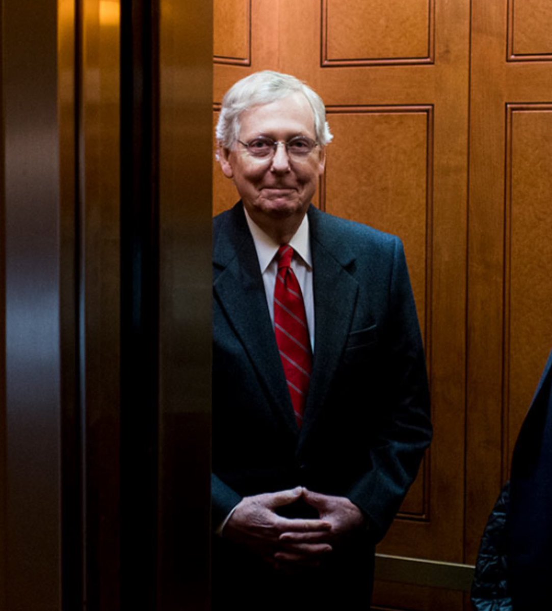 Do you support Senator Mitch McConnell getting voted out for betraying 77+ million Americans ?

YES or NO ?