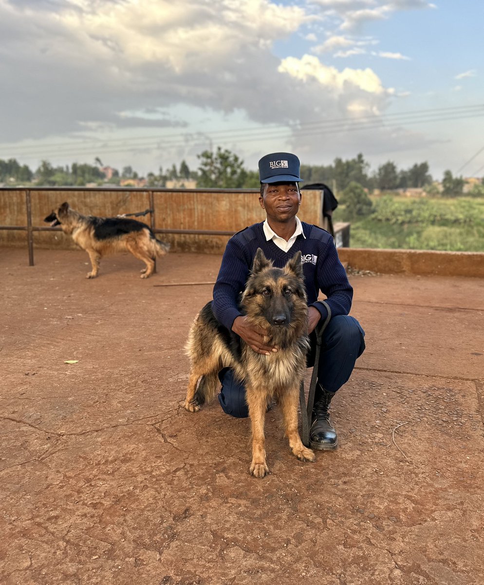 Big 5 Security Ltd tweet media