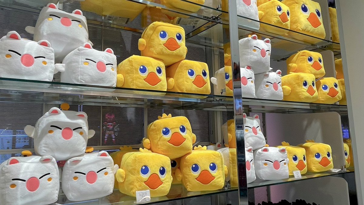 ねこずき🐱 tweet media