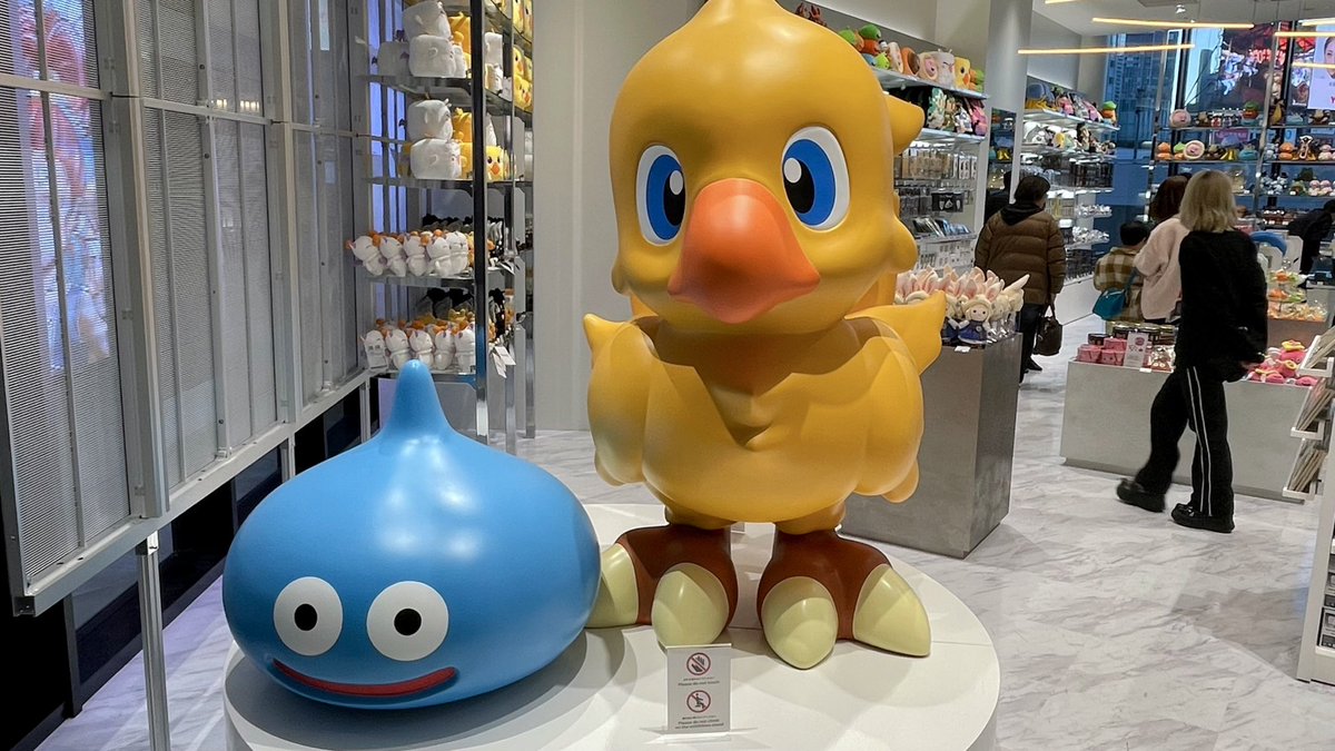 ねこずき🐱 tweet media