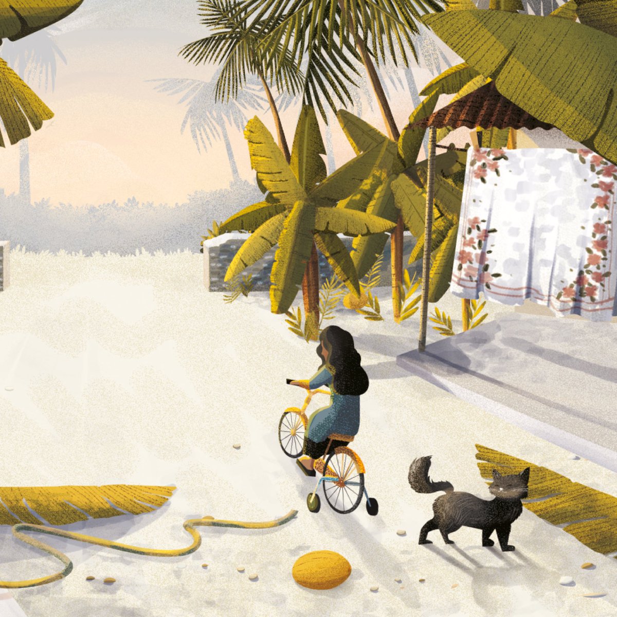 Immi Saleem tweet media