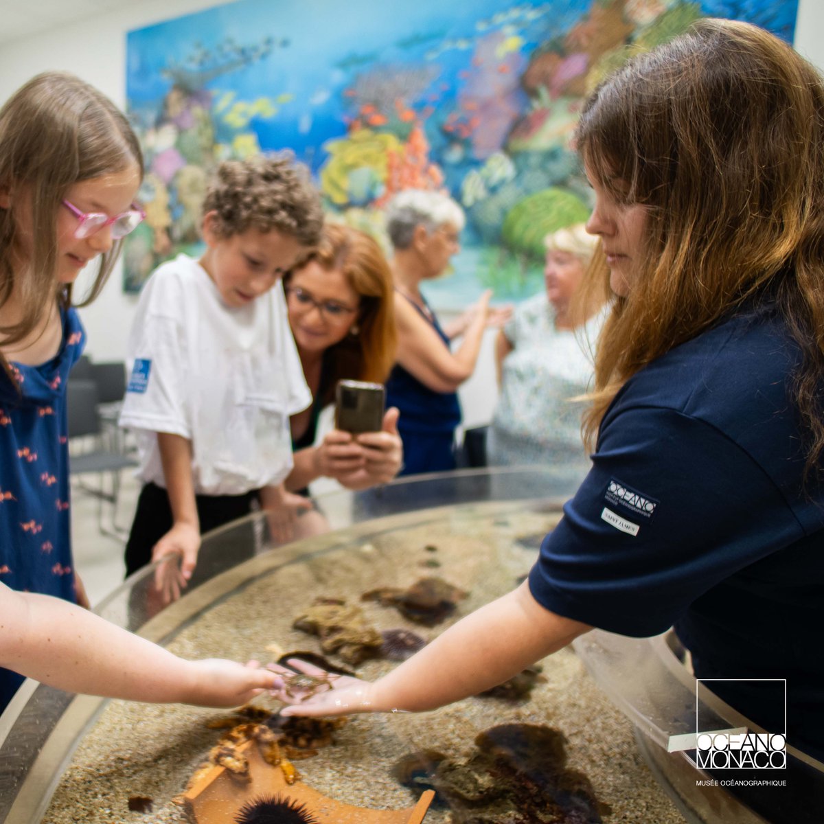 OceanoMonaco's tweet image. Samedi 25 et dimanche 26 janvier 2025, le @OceanoMonaco participe à l’événement culturel &quot;Mon Week-end aux Musées&quot;

Participez gratuitement à des animations !
pulse.ly/mhr4b1zsa2
#CotedazurFrance #MonWeekEndAuxMusées