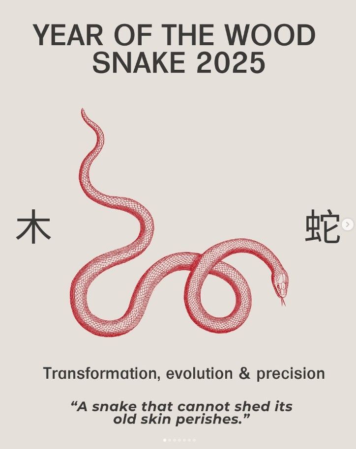 Happy Chinese New Year from everyone at Partick Housing Association. Wishing everyone a year filled with happiness and harmony.

January 29 2025, the Chinese New Year welcomes the Year of the Wood Snake - a symbol of renewal, transformation and wisdom.