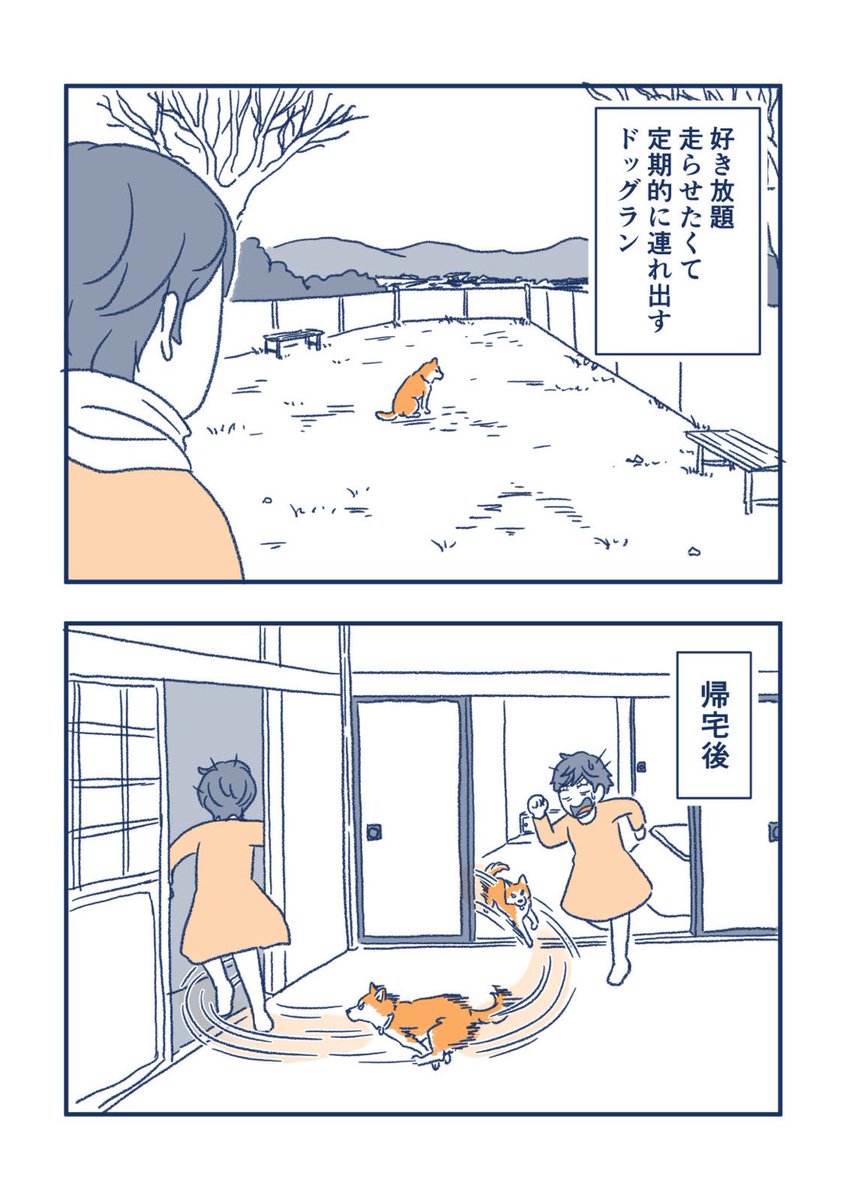 新しくできたドッグランいってきたけど、安定のこれ。 