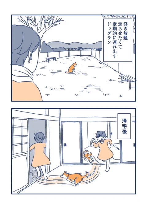 新しくできたドッグランいってきたけど、安定のこれ。 