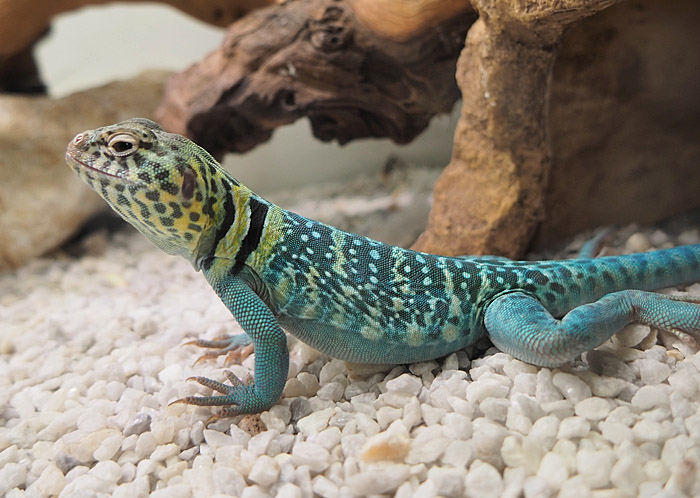 Endlesszone_エンドレスゾーン_ on X