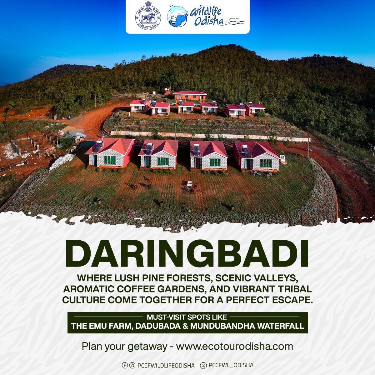 Daringbadi – where lush pine forests, scenic valleys, aromatic coffee gardens, and vibrant tribal culture come together for a perfect escape.

Must-visit spots like the Emu Farm, Dadubada, and Mundubandha Waterfall. 

Plan your getaway:
ecotourodisha.com