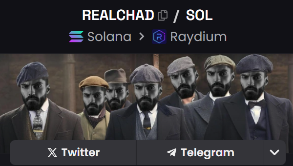 true_realchad's tweet photo. As we mentioned earlier, we’ve encountered some issues with our old account on X. We need to update Dexscreener and all other relevant information, add our new website, and possibly refresh the branding. This is something we are actively discussing within the team at the moment. https://t.co/9S4YnTwtCR