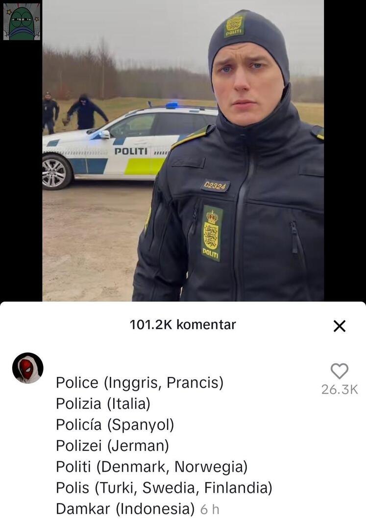 Tanyarlfes tweet media