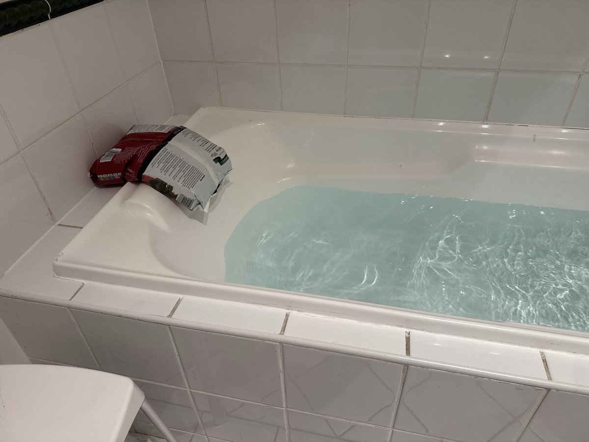 did you know that a bag of potting mix makes a superb bath pillow?