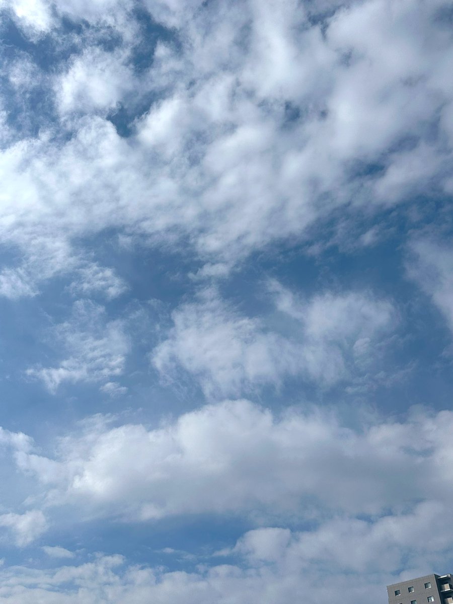青空でてきた。