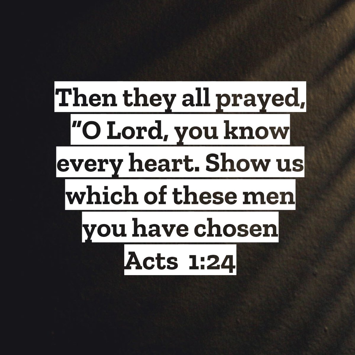 Philip Duncan tweet media