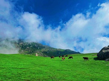 دغه تکړه مبارزین درسره وڅاری☔
اوټیویټ ریټویت کــــــــــــــــــړی☔
<a href="/HikmatA44218334/">Hikmat Afghan</a>
<a href="/LanKwm49728/">اعلان درته کوم مافالوکه</a>
<a href="/gl96799/">✤𝑮𝒖𝒍 𝑨𝒒𝒂 𝑨𝒓𝒎𝒂𝒏𝒊𓀎(گل آقا آرمانی)</a>
<a href="/m_bdalmalk46376/">مولوی سعید درمل</a>
<a href="/Shoaibkhanpopal/">( شعيب خان پوپل زي 🎤)</a>
<a href="/M_Ghazi1010/">مُنیب غازي|M_Ghazi</a>
<a href="/ZAfghan012/">ذوالفقار افغان</a>
@sadaqatjan416
<a href="/Awirkhan1/">Awir khan Abid</a>
<a href="/helalkhamos/">Helal Khamosh</a>
<a href="/amh8858/">محصل𓂆🇵🇸</a>
<a href="/h82172/">بغلانی هلک</a>
<a href="/AtiqiAtiqullah/">ميرويس</a>
@BlalA98919