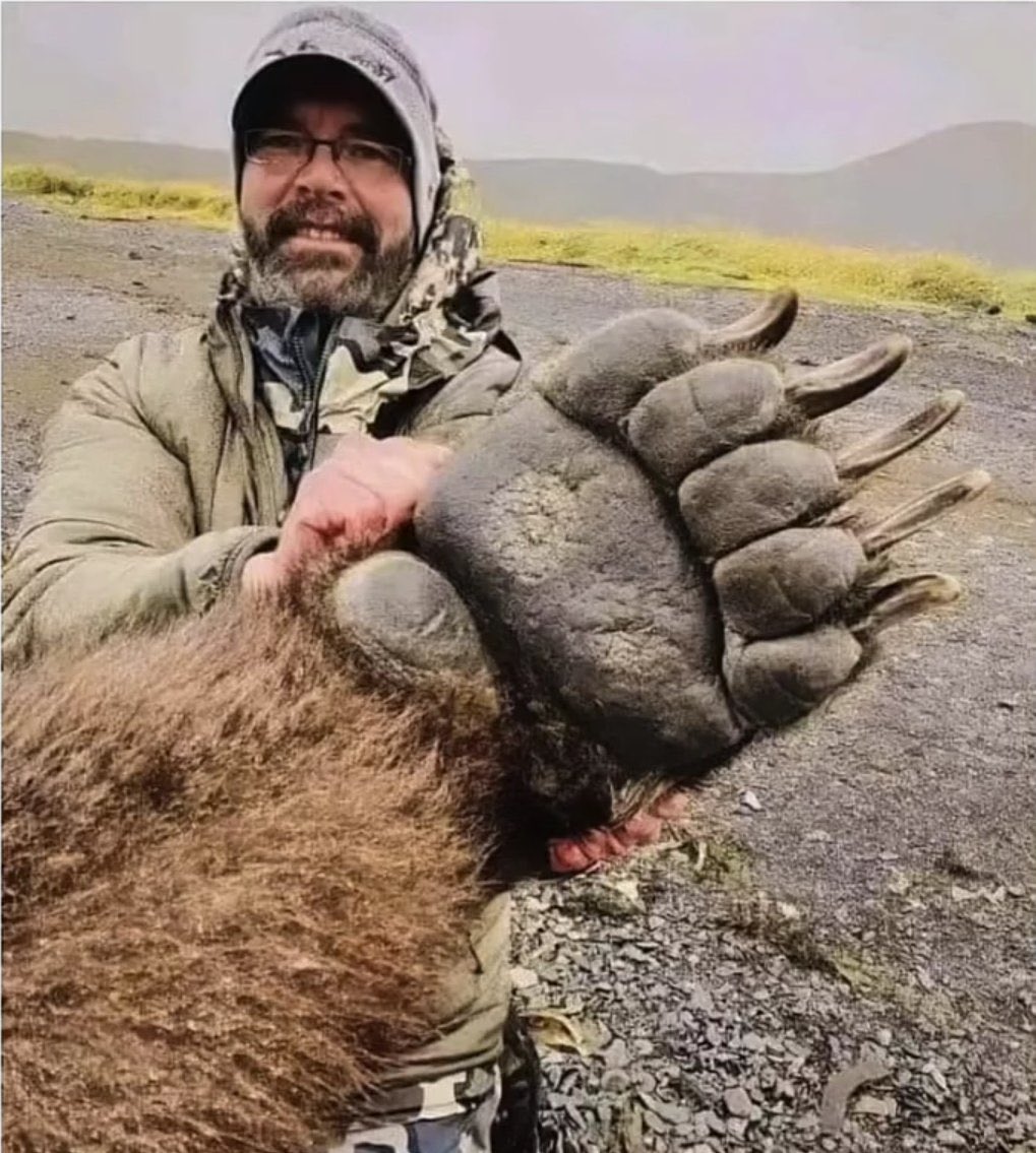 30 Large Animals Compared To Humans

Tap this tweet and enjoy this amazing thread - 🧵

1 . The size of a grizzly bear paw compared to a person.