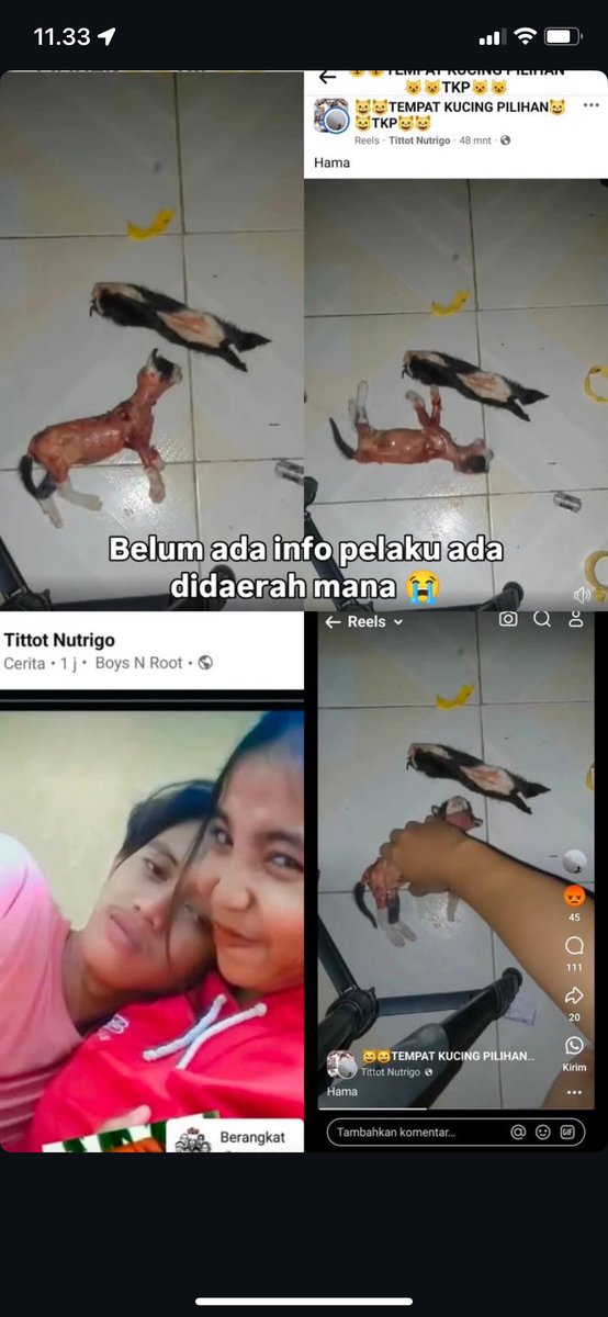 Sakit hati liatnya yaAllah. Manusia kelakuan kaya anj*ng biadab!!