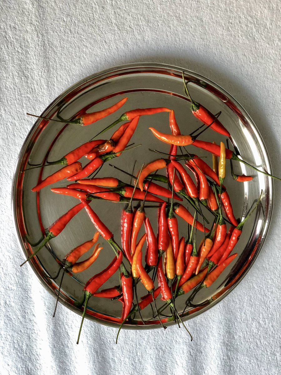 hpphotograf's tweet image. Share your Red Photos