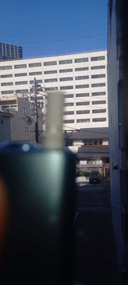 冬眠中ですが、天気が良いので半生状態！お風呂に入って考えよ。