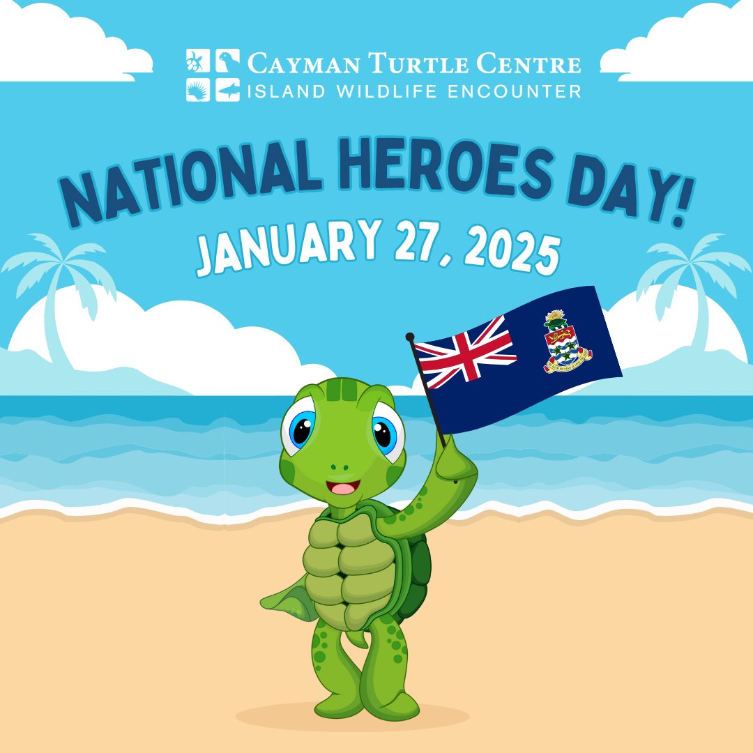 Cayman Turtle Centre tweet media