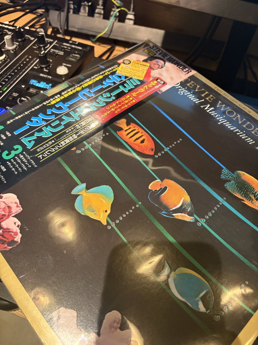 djurata's tweet photo. 店内でずっと子供が泣いていたので、泣き声で中和させるためにStevie Wonder「Isn't she lovely」をかけたいま https://t.co/TP8biLssl0