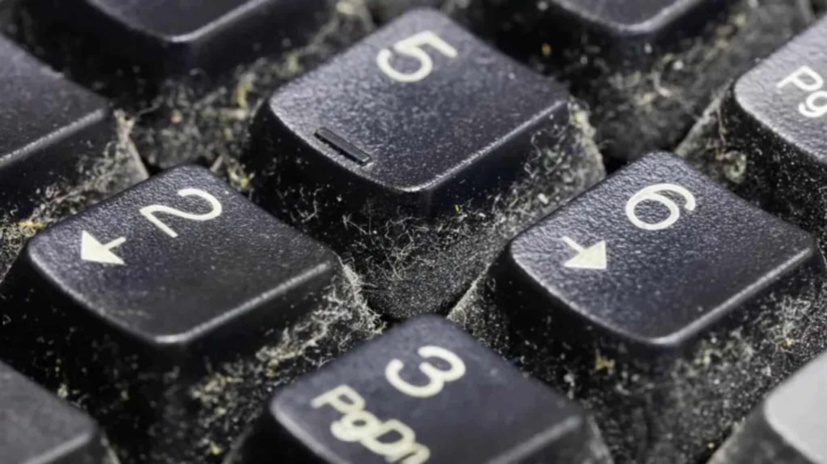 t3maglat's tweet image. 🧴🧹 Mantén tu #teclado libre de #bacterias y suciedad con esta sencilla guía. Aprende a limpiarlo sin preocupaciones. ¿Ya sabes cómo hacerlo de forma segura? 🔍💻

#techtips #tipsdelimpieza

t3mag.lat/como-limpiar-t…