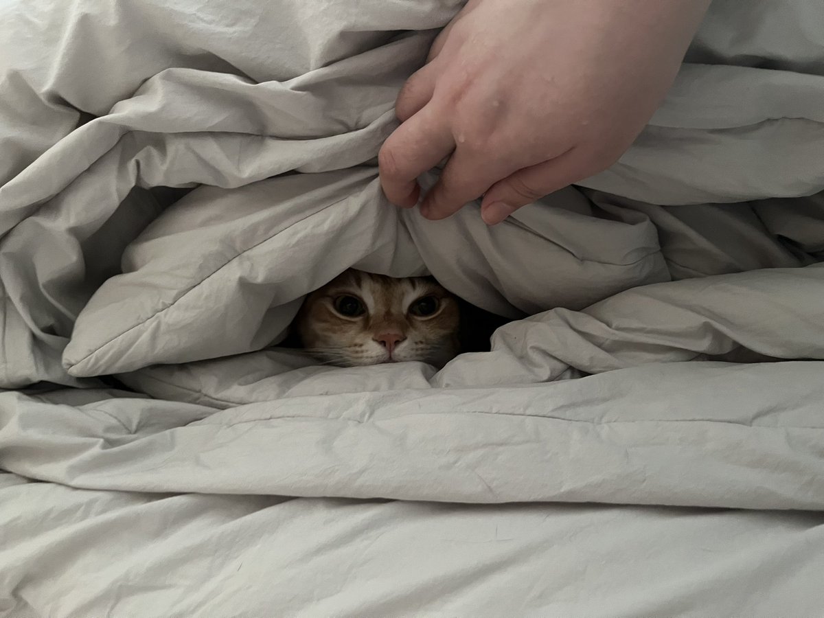 울음따발총🤦‍♂️ 약밥임자🐱 tweet media