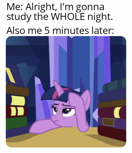 I also want to let you know that I have started studying for exams, so I won't be available for a while ughh