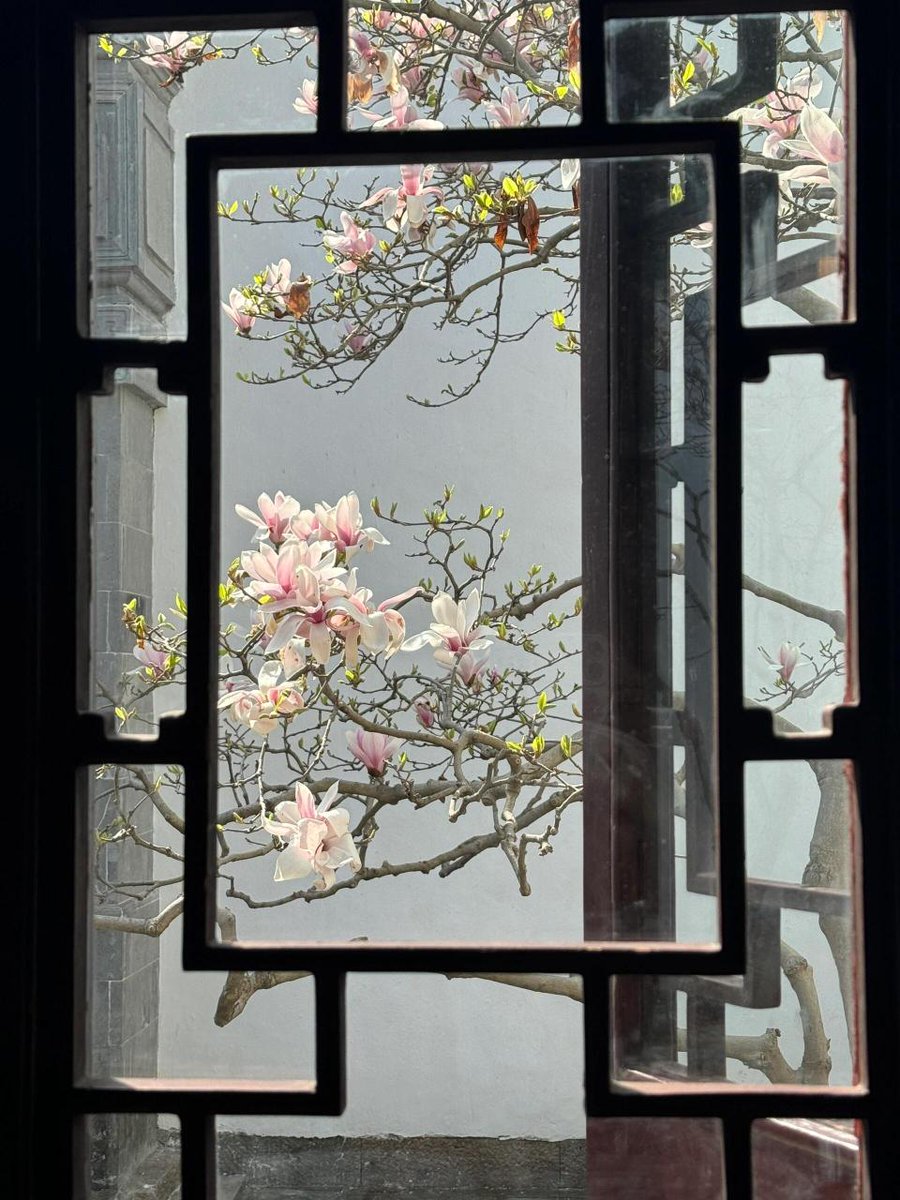 liuweny72668944's tweet image. 这大概就是老祖宗骨子里不灭的极致审美吧