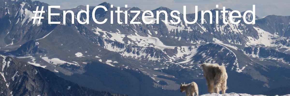 🍀 Ed Murray tweet media