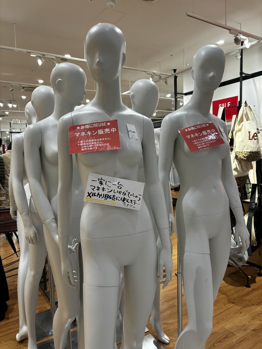 売られとん初めて見た！